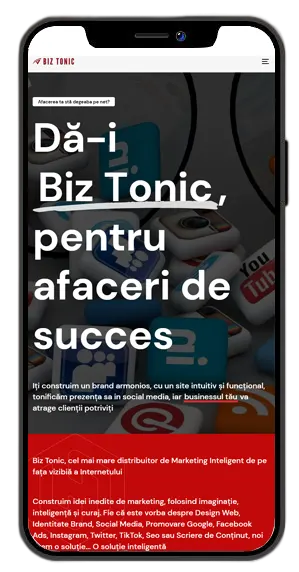 mobile phone picture with the biztonic.ro intelligent digital marketing page on Google ads